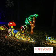 Thoiry Lumières Sauvages, les photos