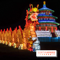 Thoiry Lumières Sauvages, les photos