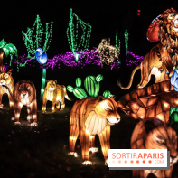 Thoiry Lumières Sauvages, les photos