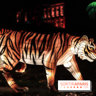 Thoiry Lumières Sauvages, les photos