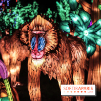 Thoiry Lumières Sauvages, les photos