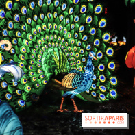 Thoiry Lumières Sauvages, les photos