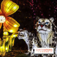 Thoiry Lumières Sauvages, les photos