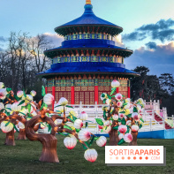 Thoiry Lumières Sauvages, les photos