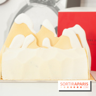 Bûche de Noël 2018 de Royal Monceau x Pierre Hermé