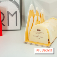 Bûche de Noël 2018 de Royal Monceau x Pierre Hermé