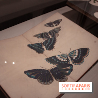 Les trésors de Kyoto au Musée Cernuschi