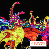 Festival de Lumières au Jardin des Plantes : Espèces en voie d’illumination