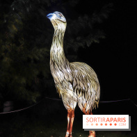Festival de Lumières au Jardin des Plantes : Espèces en voie d’illumination