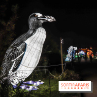 Festival de Lumières au Jardin des Plantes : Espèces en voie d’illumination