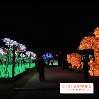 Festival de Lumières au Jardin des Plantes : Espèces en voie d’illumination