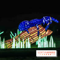 Festival de Lumières au Jardin des Plantes : Espèces en voie d’illumination