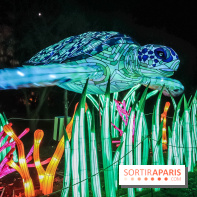 Festival de Lumières au Jardin des Plantes : Espèces en voie d’illumination