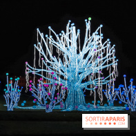 Festival de Lumières au Jardin des Plantes : Espèces en voie d’illumination