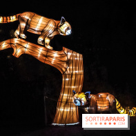 Festival de Lumières au Jardin des Plantes : Espèces en voie d’illumination