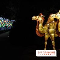 Festival de Lumières au Jardin des Plantes : Espèces en voie d’illumination