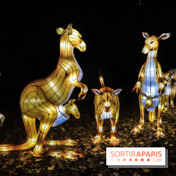 Festival de Lumières au Jardin des Plantes : Espèces en voie d’illumination