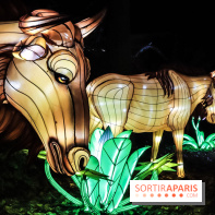 Festival de Lumières au Jardin des Plantes : Espèces en voie d’illumination