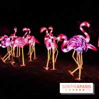 Festival de Lumières au Jardin des Plantes : Espèces en voie d’illumination