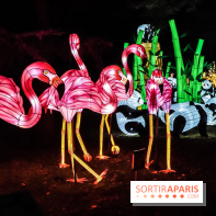 Festival de Lumières au Jardin des Plantes : Espèces en voie d’illumination