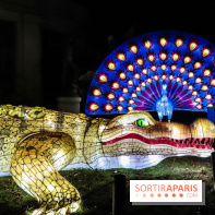 Festival de Lumières au Jardin des Plantes : Espèces en voie d’illumination