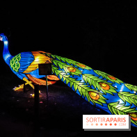 Festival de Lumières au Jardin des Plantes : Espèces en voie d’illumination