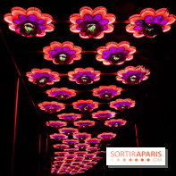 Festival de Lumières au Jardin des Plantes : Espèces en voie d’illumination