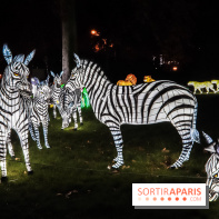 Festival de Lumières au Jardin des Plantes : Espèces en voie d’illumination
