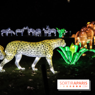 Festival de Lumières au Jardin des Plantes : Espèces en voie d’illumination