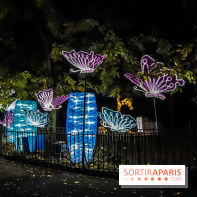 Festival de Lumières au Jardin des Plantes : Espèces en voie d’illumination