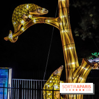 Festival de Lumières au Jardin des Plantes : Espèces en voie d’illumination