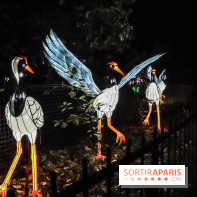 Festival de Lumières au Jardin des Plantes : Espèces en voie d’illumination