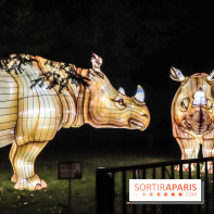 Festival de Lumières au Jardin des Plantes : Espèces en voie d’illumination