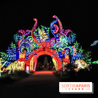 Festival de Lumières au Jardin des Plantes : Espèces en voie d’illumination