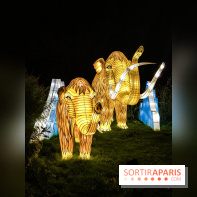 Festival de Lumières au Jardin des Plantes : Espèces en voie d’illumination