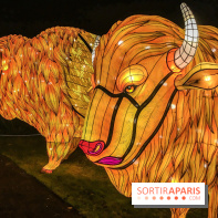 Festival de Lumières au Jardin des Plantes : Espèces en voie d’illumination