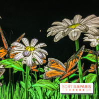 Festival de Lumières au Jardin des Plantes : Espèces en voie d’illumination