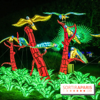Festival de Lumières au Jardin des Plantes : Espèces en voie d’illumination