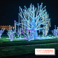 Festival de Lumières au Jardin des Plantes : Espèces en voie d’illumination