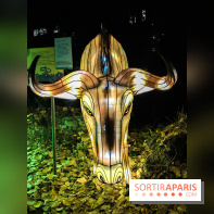 Festival de Lumières au Jardin des Plantes : Espèces en voie d’illumination