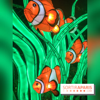 Festival de Lumières au Jardin des Plantes : Espèces en voie d’illumination