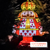 Noël au Château de Vaux le Vicomte 2018