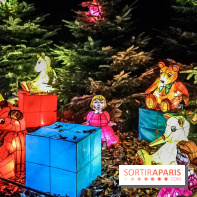 Noël au Château de Vaux le Vicomte 2018