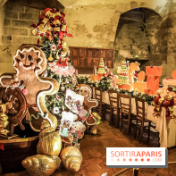 Noël au Château de Vaux le Vicomte 2018