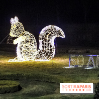 Noël au Château de Vaux le Vicomte 2018