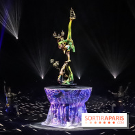 Le Roi des Singes au Cirque Phénix