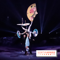 Le Roi des Singes au Cirque Phénix