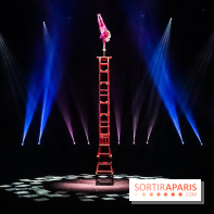 Le Roi des Singes au Cirque Phénix