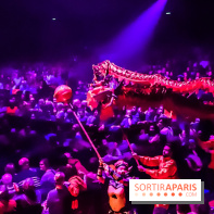 Le Roi des Singes au Cirque Phénix