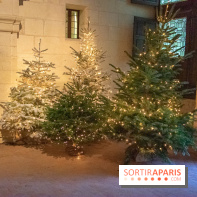 Noël 2018 au Château de Chambord
